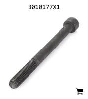 AGCO 3010177X1 Винт с цилиндрической головкой и шестигранным углублением