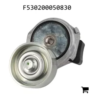 AGCO F530200050830 Натяжитель ремня