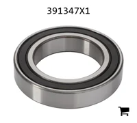 AGCO 391347X1 Подшипник 6010 2RS