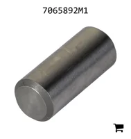 AGCO 7065892M1 Палец