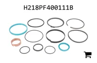 AGCO H218PF400111B Комплект уплотнений