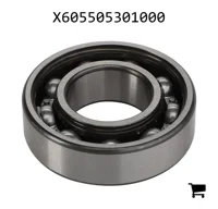 AGCO X605505301000 Шариковый подшипник