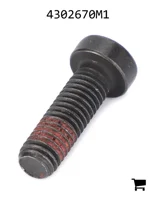 AGCO 4302670M1 Винт с потайной головкой