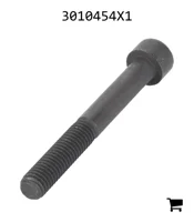 AGCO 3010454X1 Винт с цилиндрической головкой и шестигранным углублением