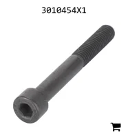 AGCO 3010454X1 Винт с цилиндрической головкой и шестигранным углублением