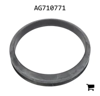 AGCO AG710771 Уплотнение
