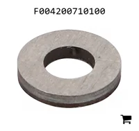 AGCO F004200710100 Диск