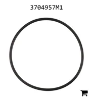 AGCO 3704957M1 Уплотнительное кольцо