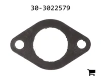 AGCO 30-3022579 Прокладка