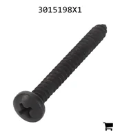 AGCO 3015198X1 Винт