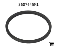AGCO 3607645M1 Уплотнение