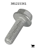 AGCO 3012153X1 Болт с шестигранной головкой и фланцем