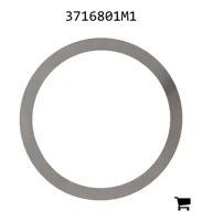 AGCO 3716801M1 Шайба