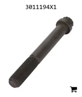 AGCO 3011194X1 Винт с 12-гранной головкой с фланцем