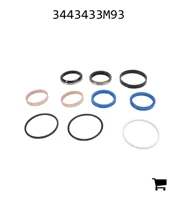 AGCO 3443433M93 Ремонтный комплект рулевого цилиндра