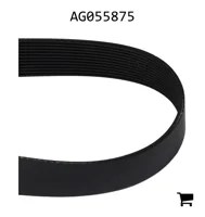 AGCO AG055875 Клиновой ремень