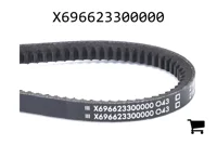 AGCO X696623300000 Ремень клиновой