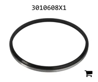 AGCO 3010608X1 Уплотнительное кольцо скребка