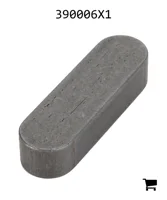 AGCO 390006X1 Параллельный шпоночный паз