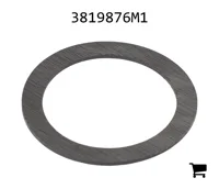 AGCO 3819876M1 Упорная шайба
