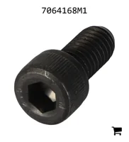 AGCO 7064168M1 Болт с шестигранной головкой