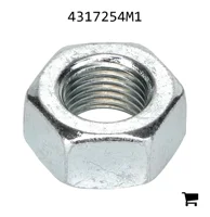 AGCO 4317254M1 Гайка