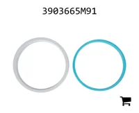 AGCO 3903665M91 Комплект уплотнений