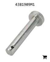 AGCO 4381909M1 Палец