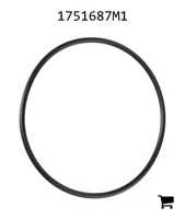 AGCO 1751687M1 Уплотнительное кольцо