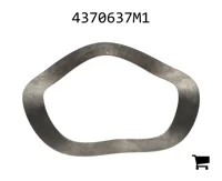 AGCO 4370637M1 Шайба