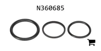 AGCO N360685 Комплект уплотнений
