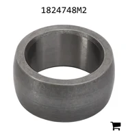 AGCO 1824748M2 Игольчатый подшипник