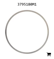 AGCO 3795180M1 Шайба