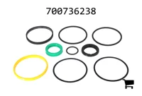 AGCO 700736238 Ремкомплект