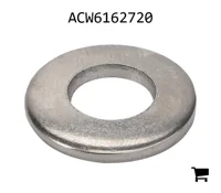AGCO ACW6162720 Шайба
