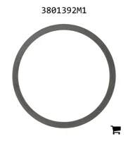 AGCO 3801392M1 Шайба