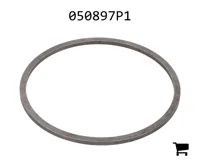 AGCO 050897P1 Шайба