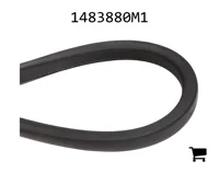 AGCO 1483880M1 Ремень