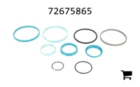 AGCO 72675865 Комплект уплотнений гидроцилиндра