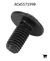 AGCO ACW5571990 Винт с головкой Torx
