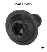 AGCO ACW5571990 Винт с головкой Torx