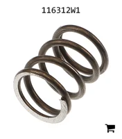 AGCO 116312W1 Пружина