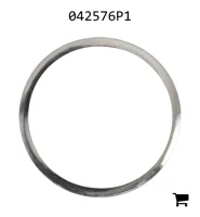 AGCO 042576P1 Шайба