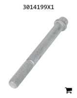 AGCO 3014199X1 Винт с 12-гранной головкой с фланцем