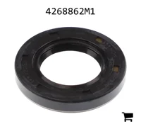 AGCO 4268862M1 Уплотнение