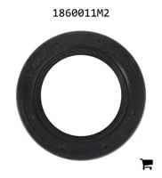 AGCO 1860011M2 Масляный сальник