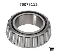 AGCO 70073112 Конический роликовый подшипник (конус)