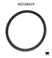 AGCO AG520419 Уплотнение