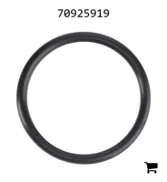 AGCO 70925919 Уплотнительное кольцо гидравлики