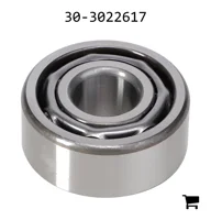 AGCO 30-3022617 Цилиндрический шариковый подшипник